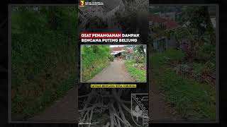 Giat Penanganan Dampak Bencana Puting Beliung Satgas Bencana Desa Ciburial (05/01/2024)