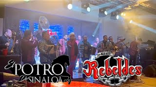 Julio Beltrán - El Potro De Sinaloa ft Los Nuevos Rebeldes (En Vivo)