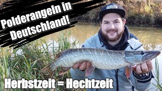 Polderangeln in Deutschland! Hechtangeln im Herbst mit der Spinnrute!