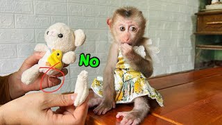 Baby monkey Tina was sad when the teddy bear her mother gave her was torn.