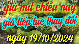 giá mít chiều nay ngày 19/10/2024