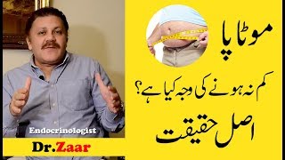 Why can't you lose weight | Realty | Dr. Zaar - Endocrinologist