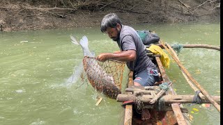 Amazing !!!! Sri Lankan 🇱🇰 big katalau fishcathing