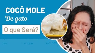 Gato fazendo cocô mole! O que pode ser? 💩😿