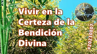 Vivir en la Certeza de la Bendición Divina (1 Pedro 3:13) 20230807