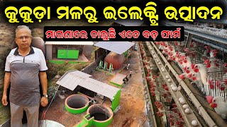 କୁକୁଡ଼ା ମଳରୁ ଇଲେକ୍ଟ୍ରି ଉତ୍ପାଦନ || How to generate electricity from chicken manure. #poultryfarm