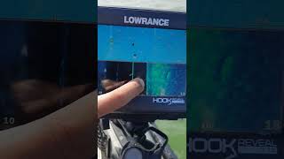 Aprenda a identificar peixes e estruturas no sonar!! #lowrance #fishing #fish #sidescan