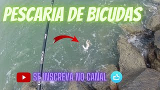 PESCARIA DE BICUDAS MUITA DIVERSÃO E PEIXE NA LINHA..!