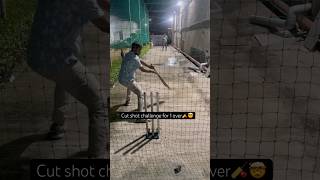 Cut shot challenge🤯 #cricket #cricketlover #cricketshorts #shorts #shortsfeed #shortsvideo