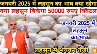 जनवरी 2025 में लहसुन का भाव क्या रहेगा || January 2025 Me Lahsun Ka Bhav Kya Rhega || Lahsunkabhav