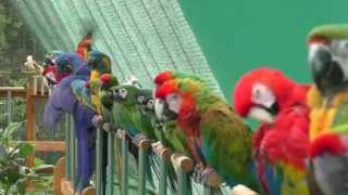 Shuka Vana ~ Rehabilitation Centre for Birds