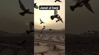 Janat ul baqi