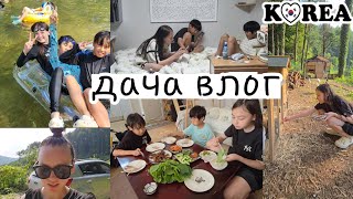 Как дети дачу полюбили / Новые питомцы /  KOREA VLOG