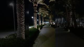 walking at night side on the roads of doha beautiful trees monuments