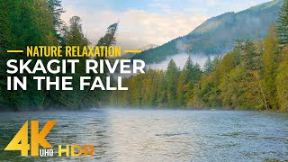 Skagit River in Late Fall - Autumn Beauty of a Mountain River (North Cascades Area) in 4K HDR