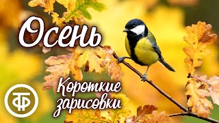 Петр Власов, Ирина Власова. Осень. Короткие рассказы и зарисовки о природе и животных (1984)