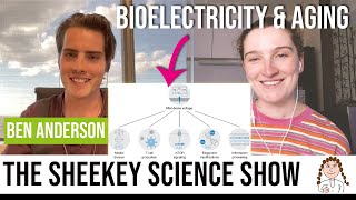 Bioelectricity as an longevity intervention - Benjamin Anderson