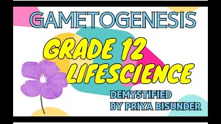 GRADE 12 GAMETOGENESIS