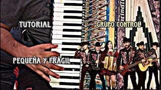 Cumbia facilita - tan pequeña es tan frágil es grupo control / Tutorial para acordeón de teclas