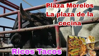 MERCADO DE ANIMALES EL MAS GRANDE EN YECAPIXTLA MORELOS