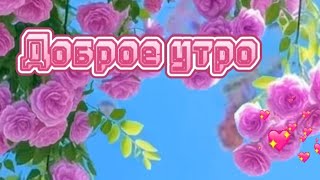 Доброе утро. 😘Всего тебе  самого  лучшего  сегодня. 💖