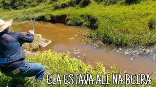 SABIA QUE O CORGO NÃO IA ME DEIXAR NA MÃO, FOI JOGAR NA BEIRA DO MATO E PRONTO! Pescaria