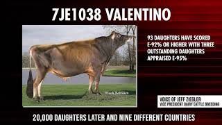 7JE1038 VALENTINO Joins Half Million Club