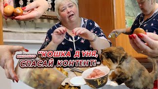 ОЛЬГА УРАЛОЧКА LIVE //КОШКА ДУНЯ, СПАСАЙ КОНТЕНТ!//