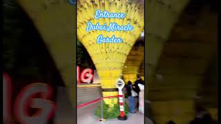 Entrance Dubai Miracle Garden @VisitDubai #viral #shorts #shortvideo