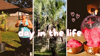 Day In The Life | What I ate, sunny strolls, Walmart delivery