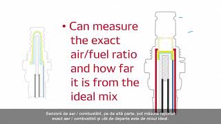 DENSO Oxygen Sensor vs Air Fuel Sensor Overview RO