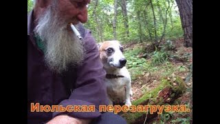 Июльская перезагрузка