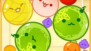 WATERMELON GAME ( Merge Game, Evolution Fruit drop) Gameplay android/ios game