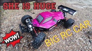 HUGE RC BUGGY is a power house with big nobbly tires ( BIG RC CAR )