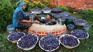 Long Term Prune Plums Preservation Without a Refrigerator 🍂