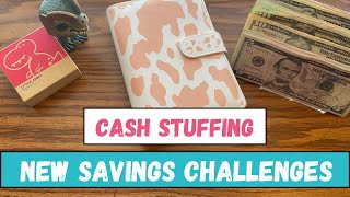 New Savings Challenges, Cash Stuffing Scratch Off, Roar-Some & More! 🦖