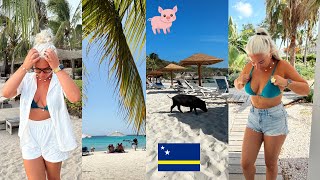 STRANDJES ontdekken op Curaçao!🐷🏖️Varken strand, Porto mari, Daaibooi & eten bij DE HEEREN !🍴🩷