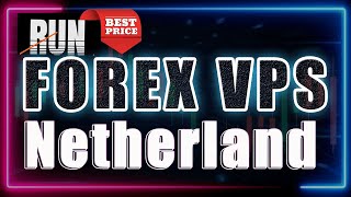 Best Forex VPS In Netherlands | # Best VPS For Forex