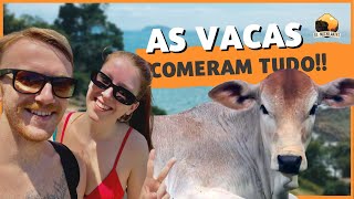 Em Memória ao Vale da Utopia :(  (As vacas comeram toda nossa comida)