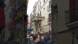 ✝️AVANZA BAJO LA LLUVIA EL PALIO DEL BUEN FIN✝️ #ssantasevilla24 #lluvia #buenfin2024 #shorts