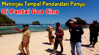 Meninjau tempat Pendaratan Penyu di Pantai Goa Cina.