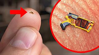 World’s Smallest Nerf Gun Shoots an Ant