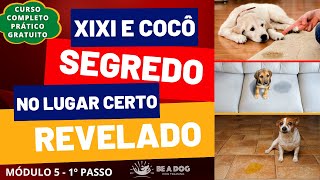 SEGREDO REVELADO!!! Como ensinar o CACHORRO fazer XIXI E COCÔ no LUGAR CERTO?  (Módulo 5 - 1º Passo)