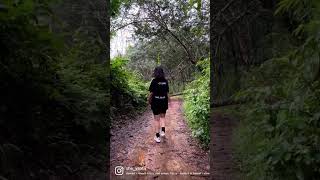 Walk in the wild| Youtube shorts | Kerala |Travel vlog | Indian traveller