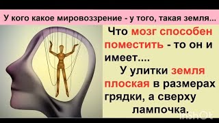 Государства это частные корпорации колонии! У вас нет с ними договора! Подчиняются только РАБы!