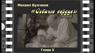 Михаил Булгаков "Собачье сердце". 5-я глава. Читает Сергей Рубашкин.