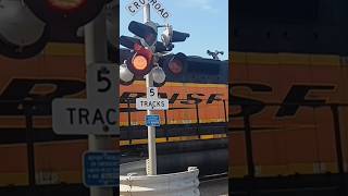 BNSF SD40-2 #1730 gives me a Horn show and a jump scare #railroad