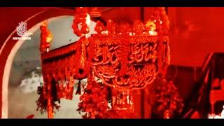 Taboot Imam Raza a s #status #shortsvideo #shortvideo #