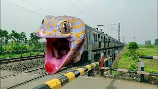 Funny Angry Gecko Face Printed EMU Local Dengerously Moving Throughout Railgate