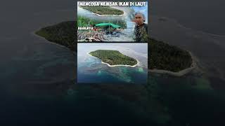 petualangan laut jdtv